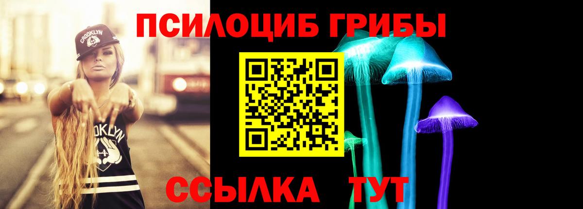 Галлюциногенные грибы Cubensis  наркота  Оренбург  Вход с VPN 